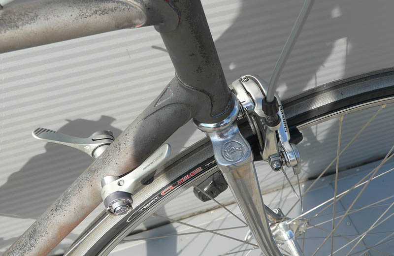 GazelleRAW07.jpg