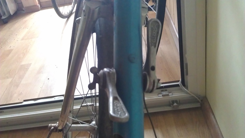 IMAG0323.jpg