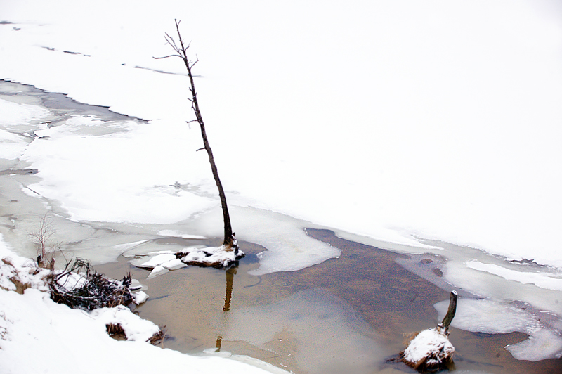 DSC_0161.JPG