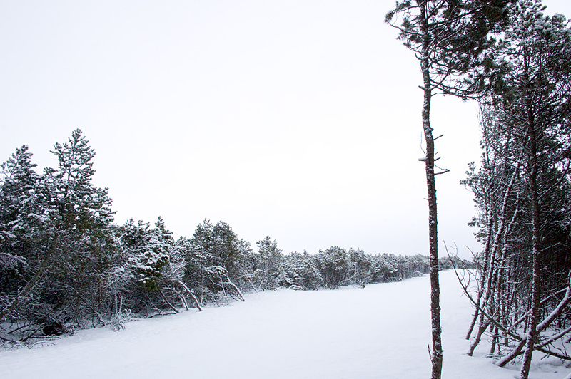 DSC_0125.JPG