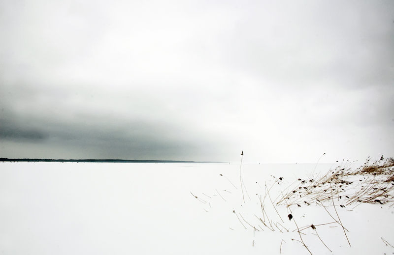 DSC_0120 x800.jpg