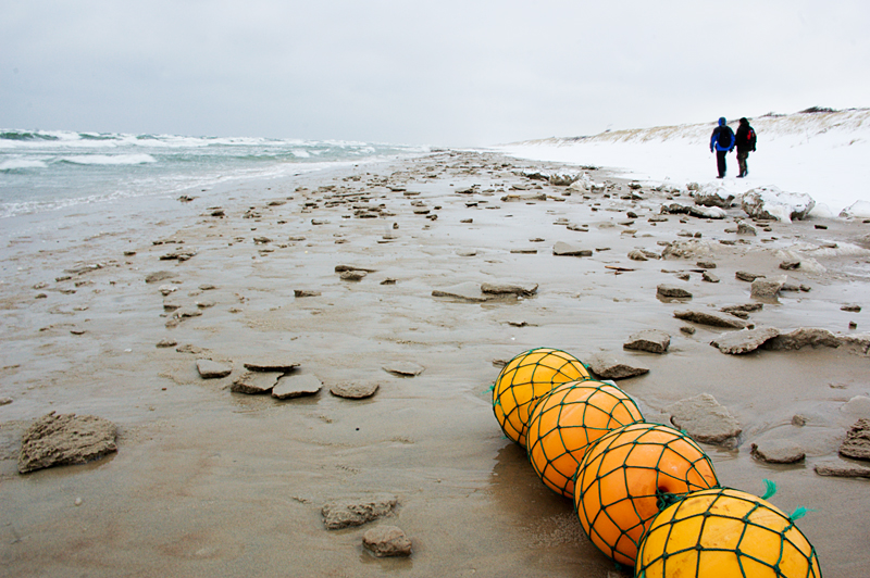 DSC_0003 x800.jpg