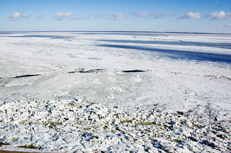 DSC_0121.jpg