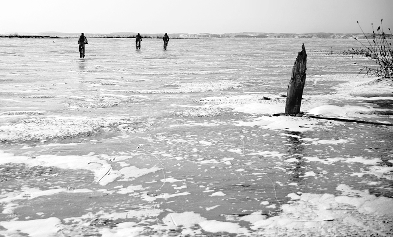 DSC_0047.jpg