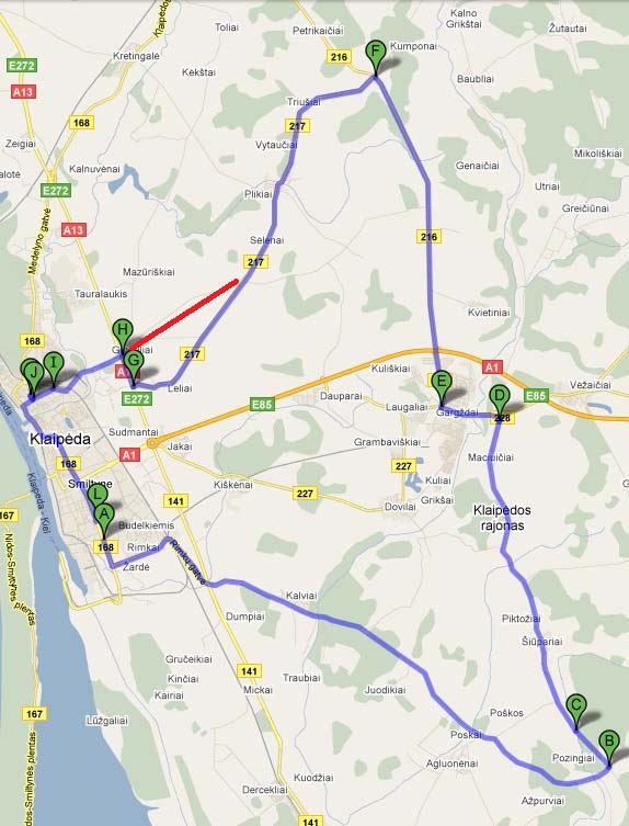 85 km ziedas.jpg